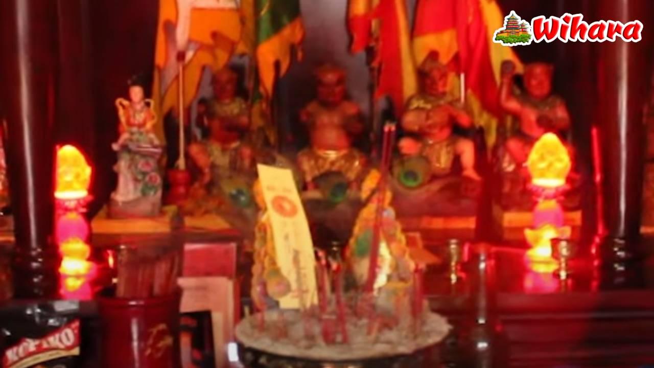 Shen Nung San Ku Bio