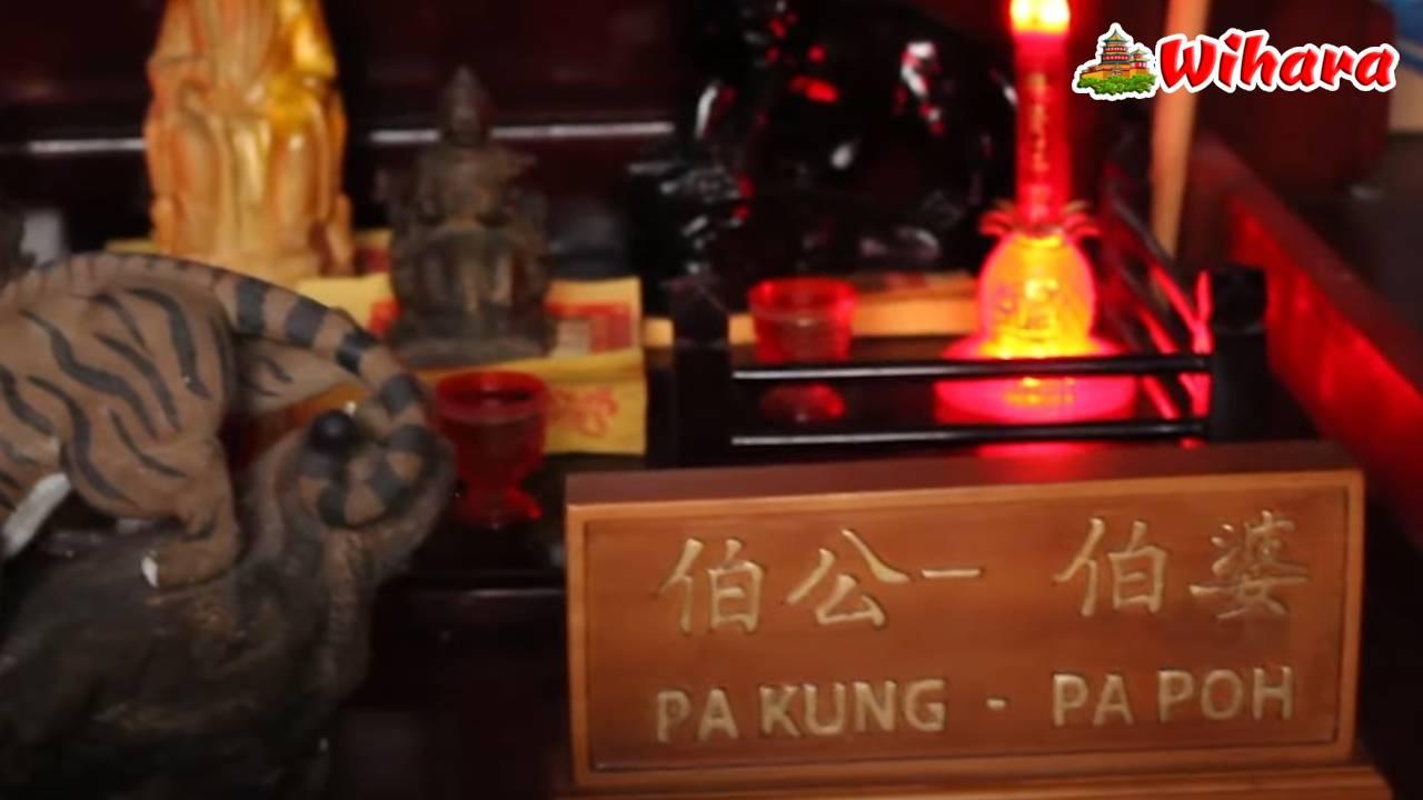 Shen Nung San Ku Bio