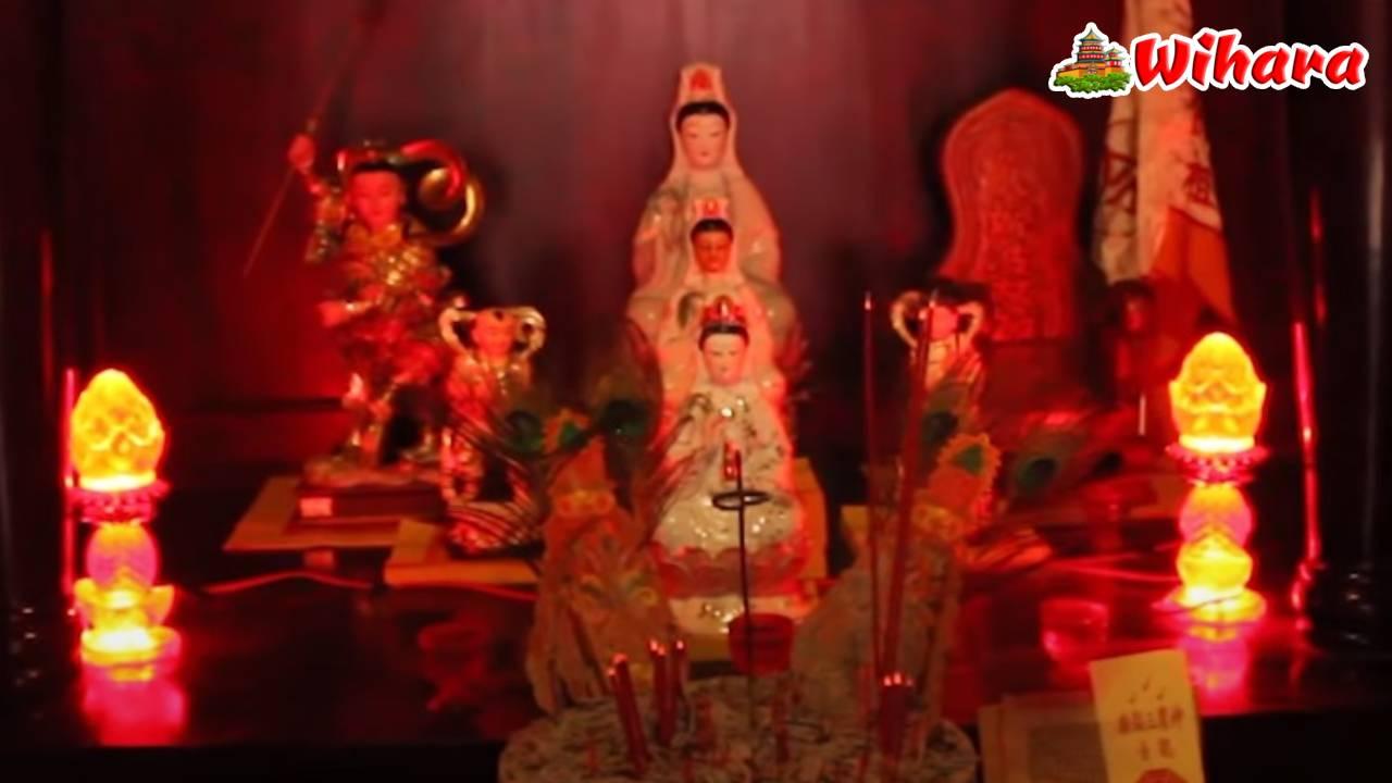 Shen Nung San Ku Bio